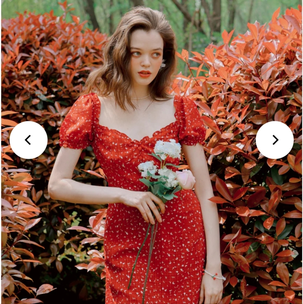 Petite Studio NYC Maisy Dress